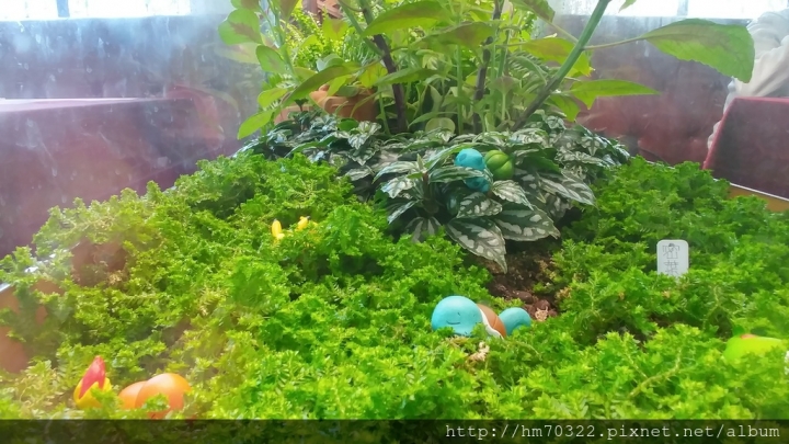 『桃園美食』-龜山山鶯路． Bistro 181法國餐廳 / 法式料理 / 有機法式料理 / 義大利麵