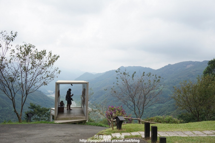 【新竹縣】即將消失的"薰衣草森林"輕旅行，欣賞美景還能DIY手工皂