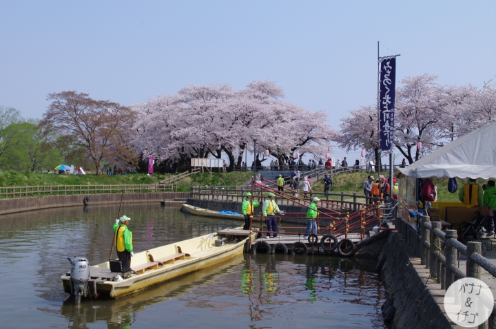 「岩手賞櫻」--北上訪聖地 北上展勝地