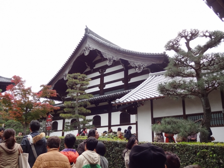 ＜日本＞2011自私之日本行~東福寺、三十三間堂、西本願寺、新京極