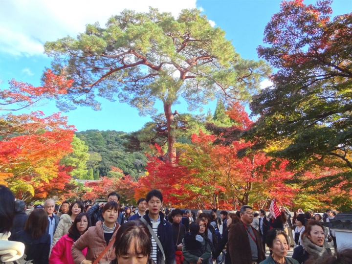 ＜日本＞2011自私之日本行~永觀堂外圍、京都御院