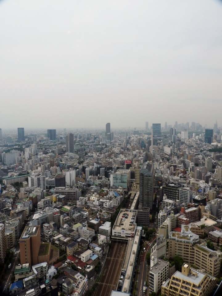 高樓見東京！ 東京五座免費展望台攻略