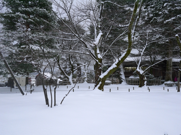 【日本 中部/石川金澤】兼六園-日本三大名園之一的絕美雪景