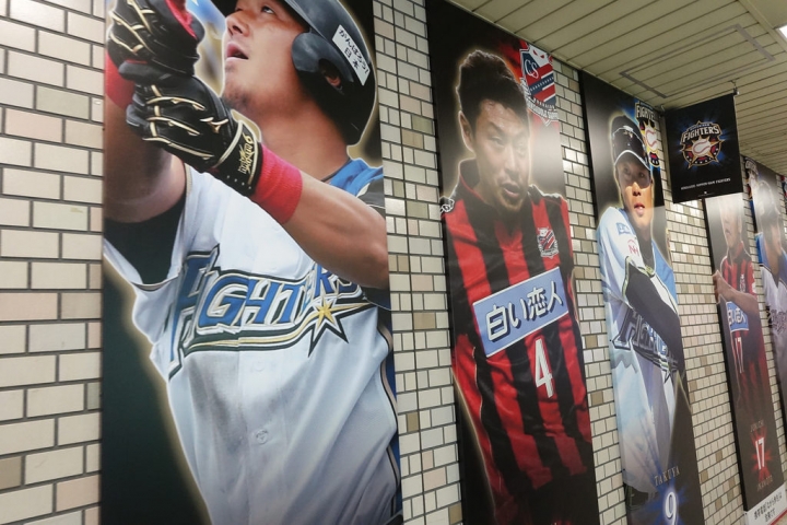 【2016 北海道親子行】帶寶寶到札幌巨蛋看球去。來幫陽岱鋼加油!!