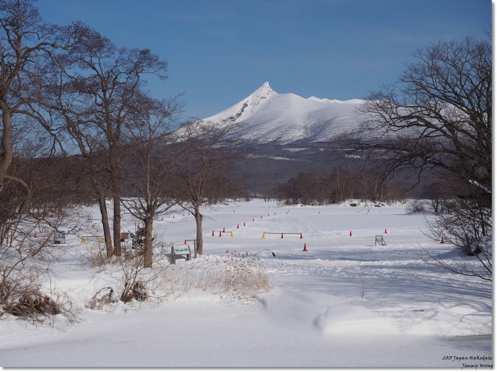 [日本東北自助行]-延伸北海道函館-巧遇冰雪奇緣雪寶-大沼國定公園(爽吃3.6kg帝王蟹)
