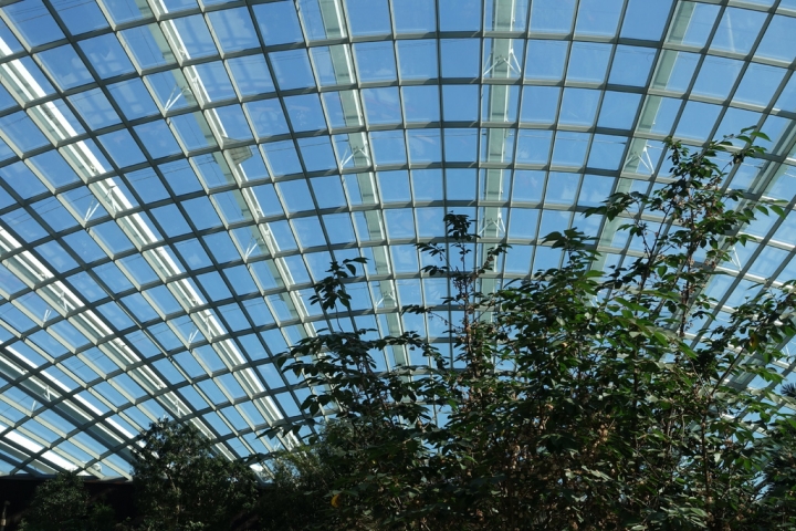 ＜新加坡＞2016新加坡知性之旅~濱海灣花園和克拉碼頭