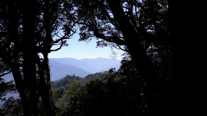 請問這些是什麼山