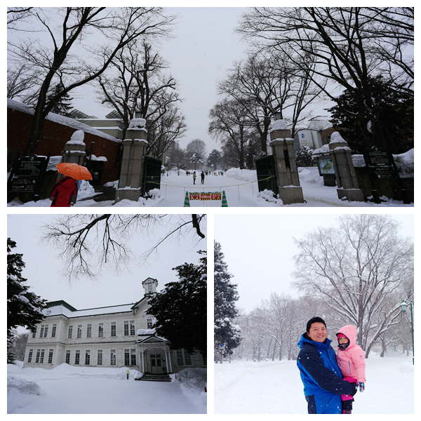 【北海道】冰天雪地「自駕九天行程」租車、住宿、美食、親子景點一次打包