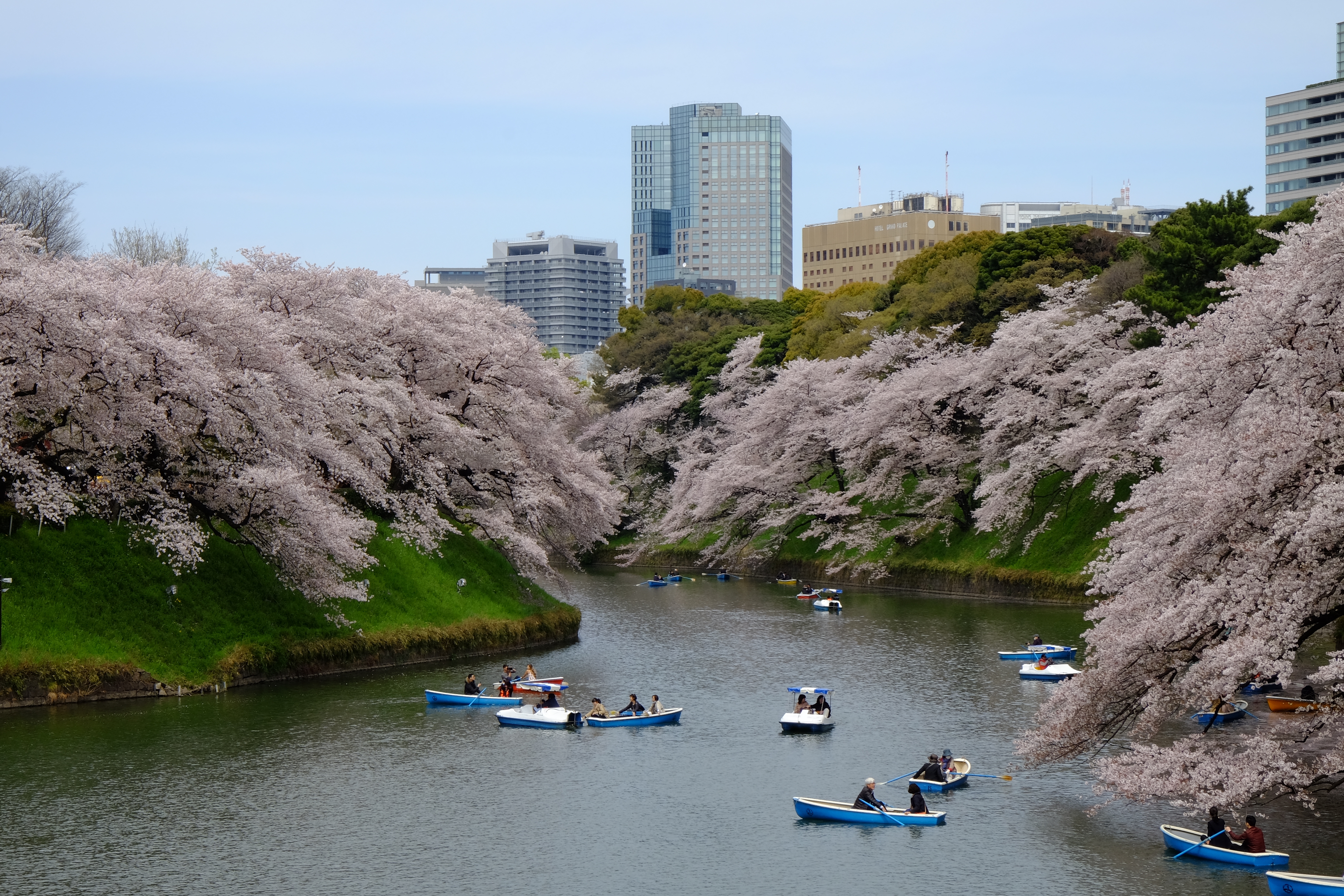 FUJIFILM X-T1+XF18-55  河口湖東京自助七日賞櫻之旅