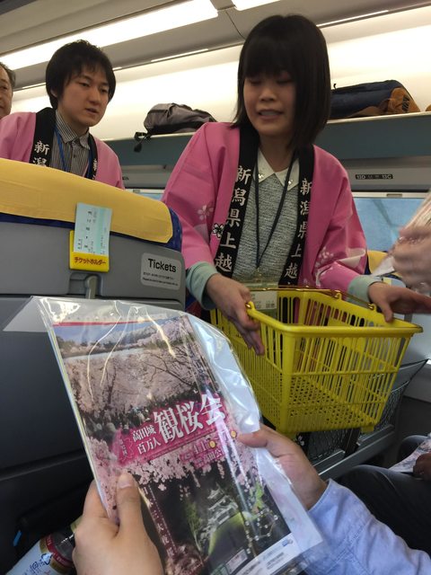 「新潟景點」--日本三大夜櫻之一:高田公園