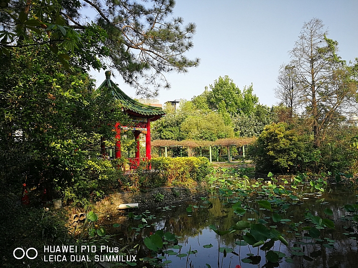 HUAWEI P10 Plus 前後徠卡認證 頂規版測試