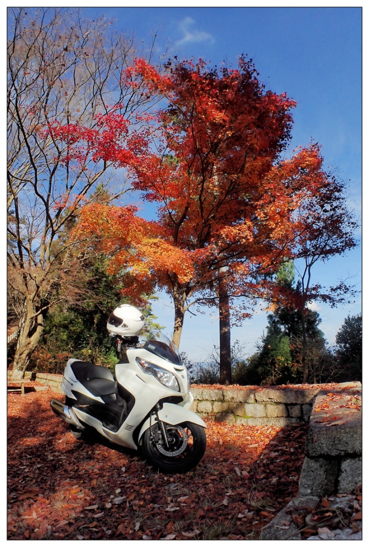 [SKYWAVE TYPE-S]日本関西ー紀伊半島TOURING(DAY-4.5) 和歌山―奈良―東京