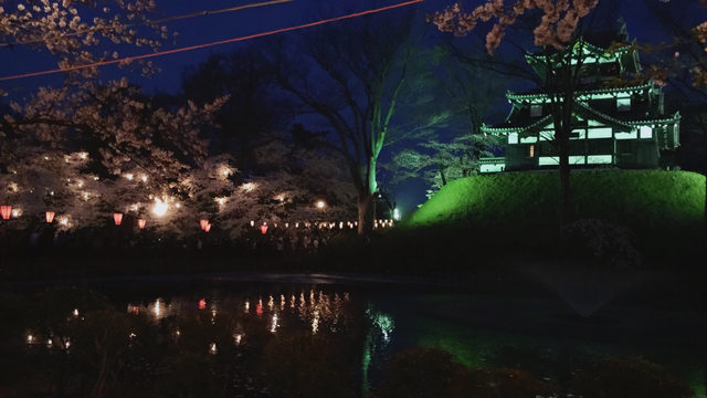 「新潟景點」--日本三大夜櫻之一:高田公園