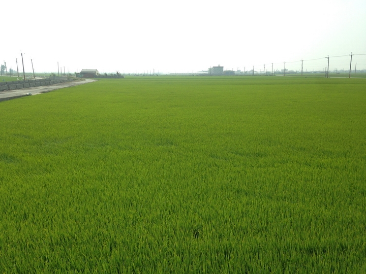 起點就是終點，終點就是起點，我騎自行車8天環台灣一圈了！(環島初體驗)