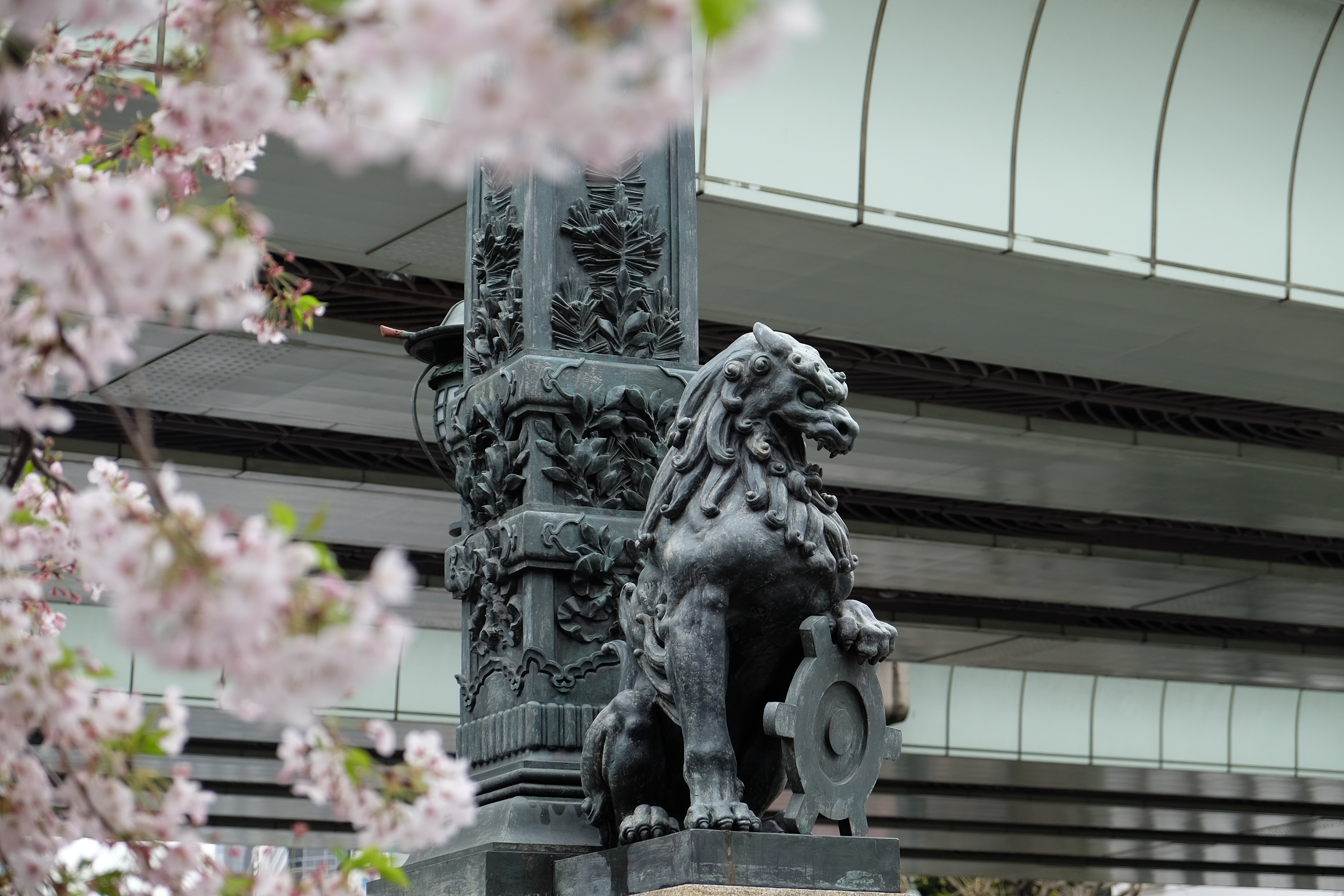 FUJIFILM X-T1+XF18-55  河口湖東京自助七日賞櫻之旅