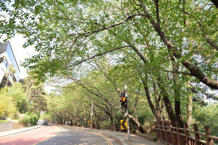 韓國釜山迎月嶺散步路線推薦 尾浦鐵道走向海雲台海水浴場