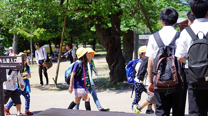 分享 大阪神戶京都奈良之旅與自助婚紗
