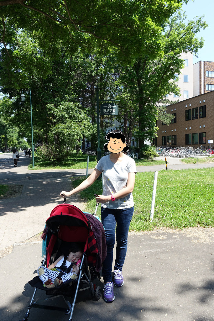 【2016北海道親子行】札幌市區景點。漫步在夏日綠意盎然的北海道大學校園