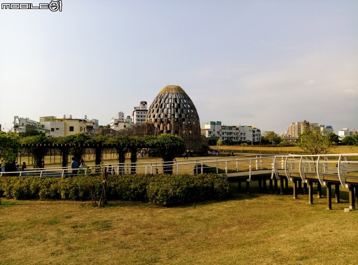 嘉義市阿里山林業村 4月8號