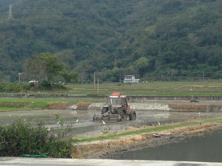 起點就是終點，終點就是起點，我騎自行車8天環台灣一圈了！(環島初體驗)