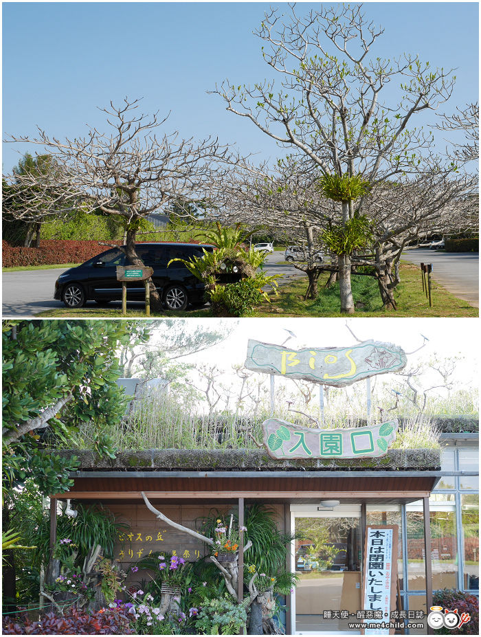 【沖繩親子景點】最適合全家同樂的「BIOS之丘」生態農場,迷你亞馬遜河上划舟、遊湖;亞熱帶森林搭小火車、帶山羊散步、坐水牛車、還有手作體驗
