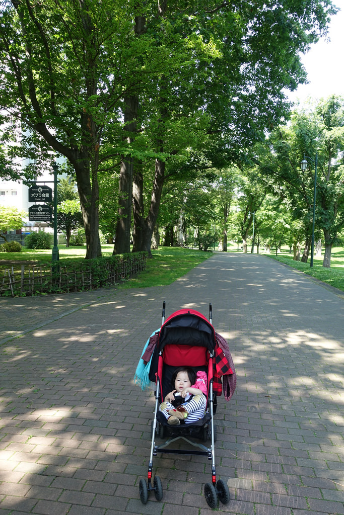 【2016北海道親子行】札幌市區景點。漫步在夏日綠意盎然的北海道大學校園