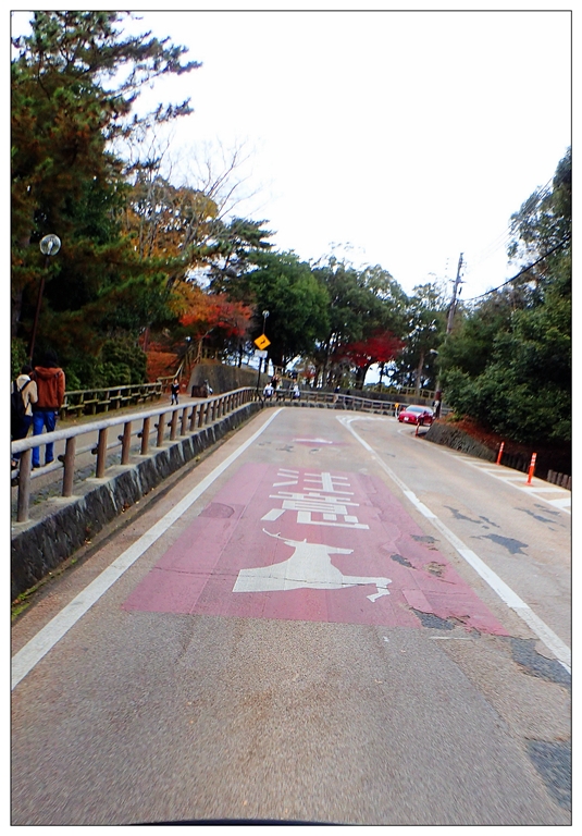 [SKYWAVE TYPE-S]日本関西ー紀伊半島TOURING(DAY-4.5) 和歌山―奈良―東京