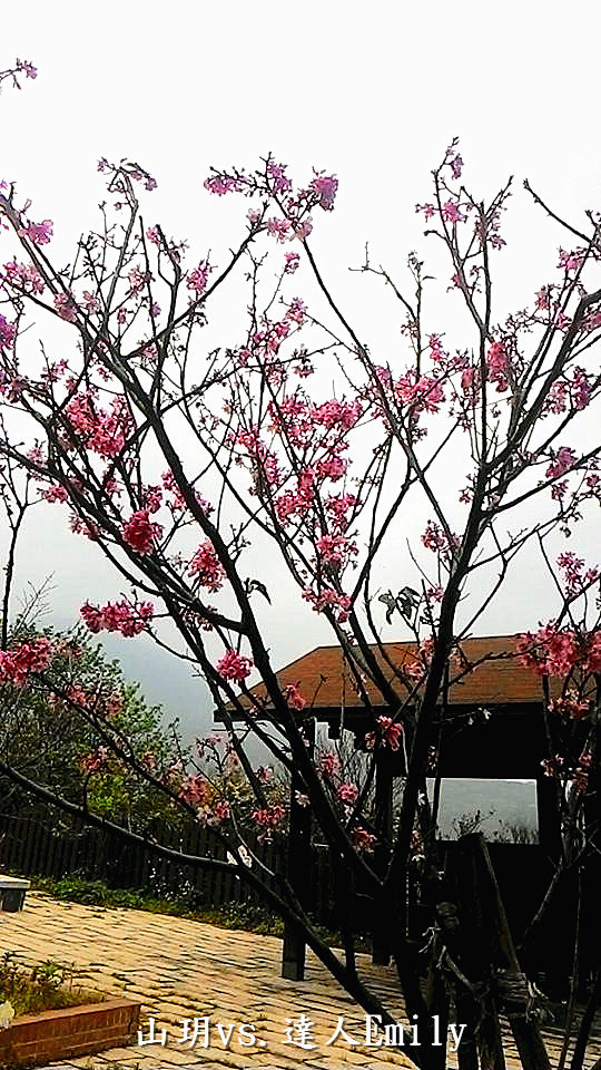 【台北泡湯推薦】暮春三月遊山玥~陽明山上最超值的景觀湯屋,適合情侶夫妻共享浪漫!