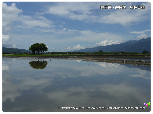 【台東景點懶人包】33 處適合親子旅遊的「好玩、好吃、好住」景點美食推薦