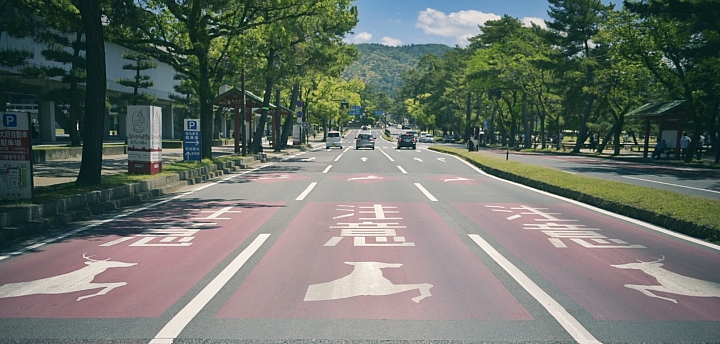 分享 大阪神戶京都奈良之旅與自助婚紗