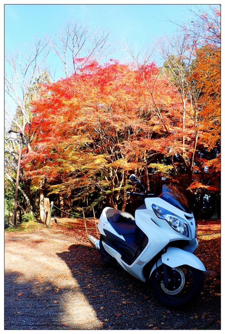 [SKYWAVE TYPE-S]日本関西ー紀伊半島TOURING(DAY-4.5) 和歌山―奈良―東京