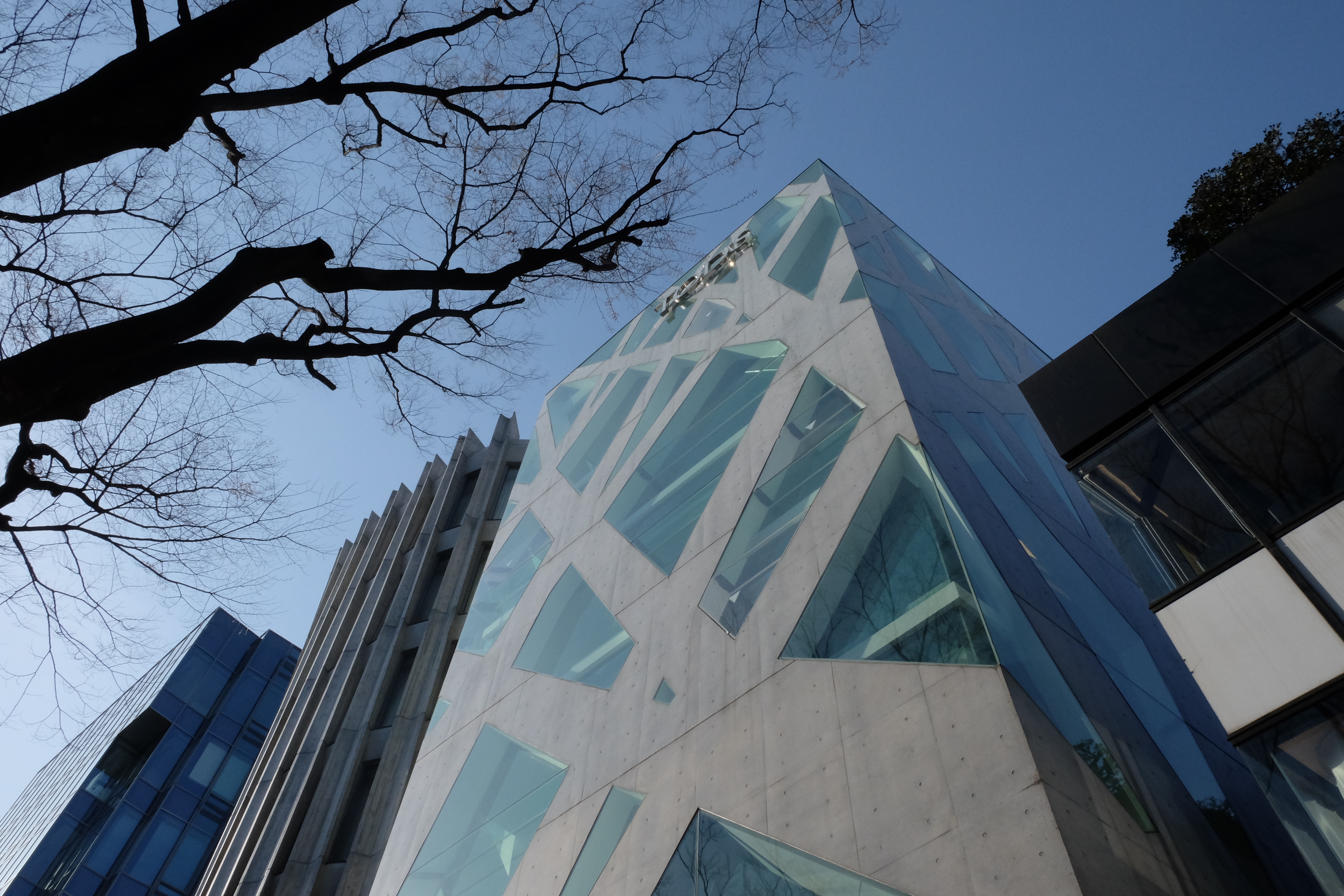 FUJIFILM X-T1+XF18-55  河口湖東京自助七日賞櫻之旅