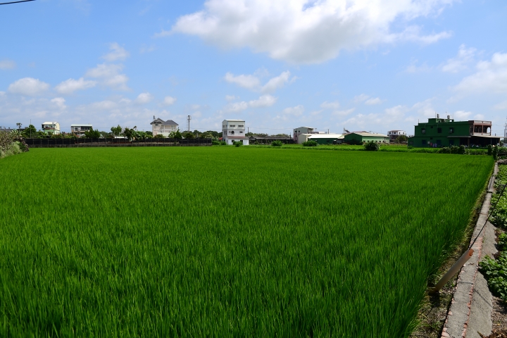 [蓋樓哦] Nikon 16-80mm F2.8-4E 分享區