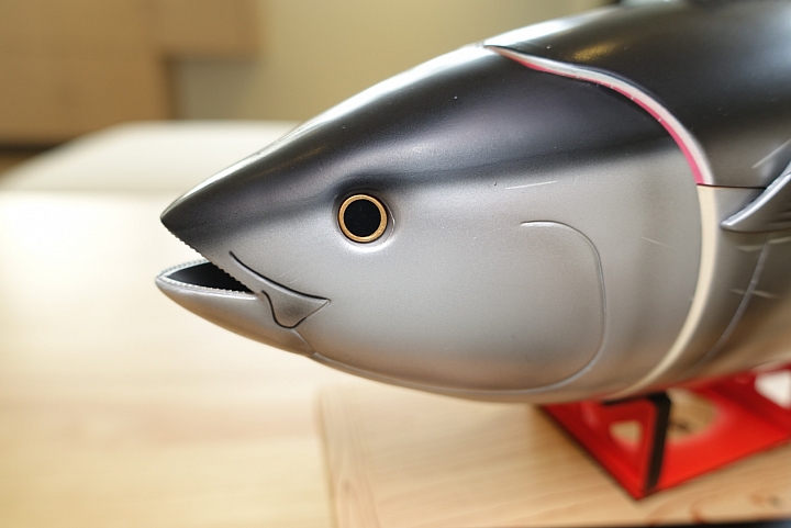 [開箱]Hobby Stock黑鮪魚模型