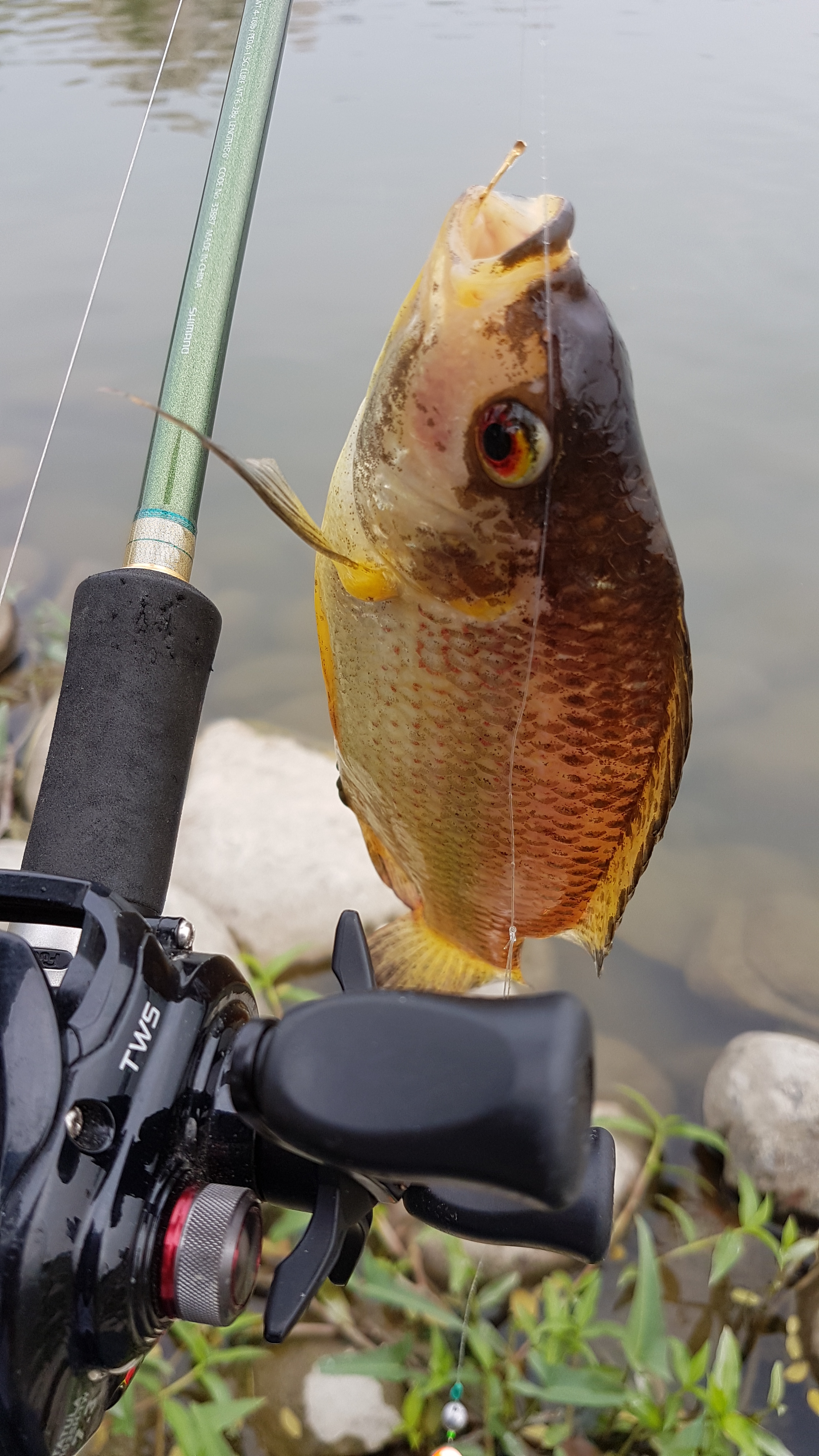 球形目印 Mobile01