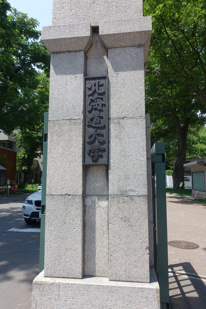 【2016北海道親子行】札幌市區景點。漫步在夏日綠意盎然的北海道大學校園
