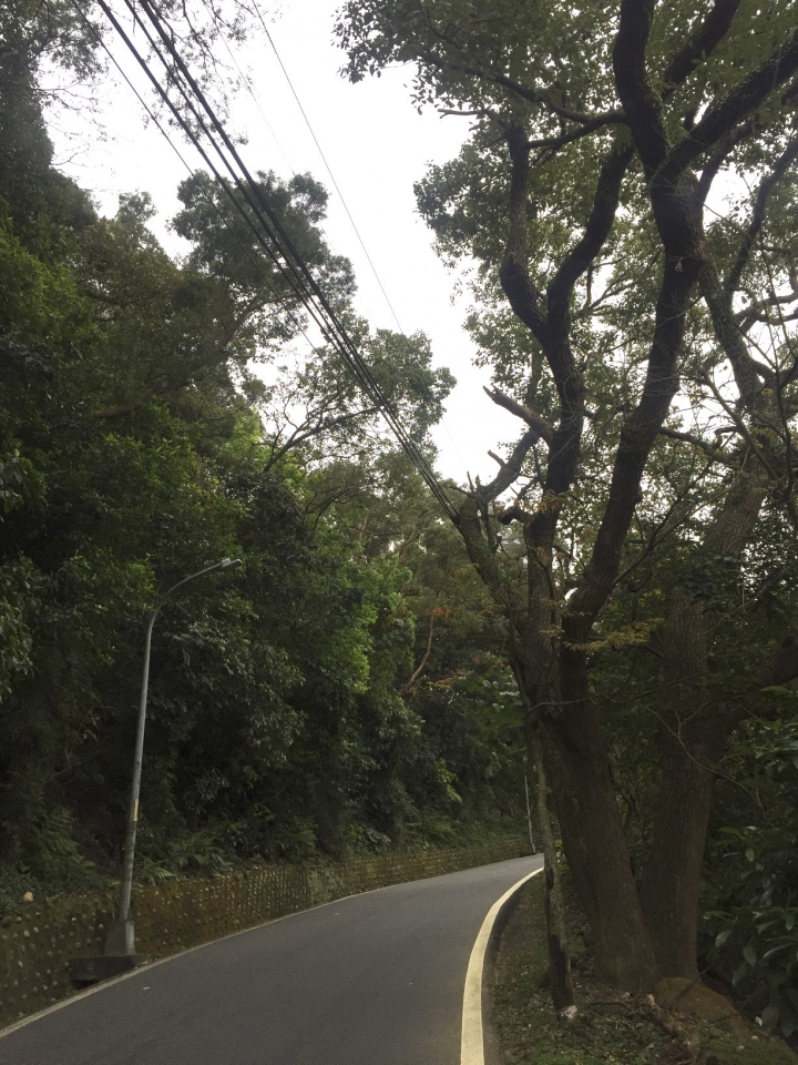 四錶怪客測試第三彈：Garmin Fenix 3 vs Forerunner 235 vs Bryton AMIS 630 vs Apple watch 2 軌跡圖測試