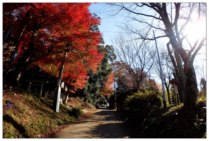 [SKYWAVE TYPE-S]日本関西ー紀伊半島TOURING(DAY-4.5) 和歌山―奈良―東京