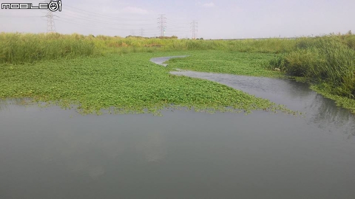 竹塘濕地秘境~