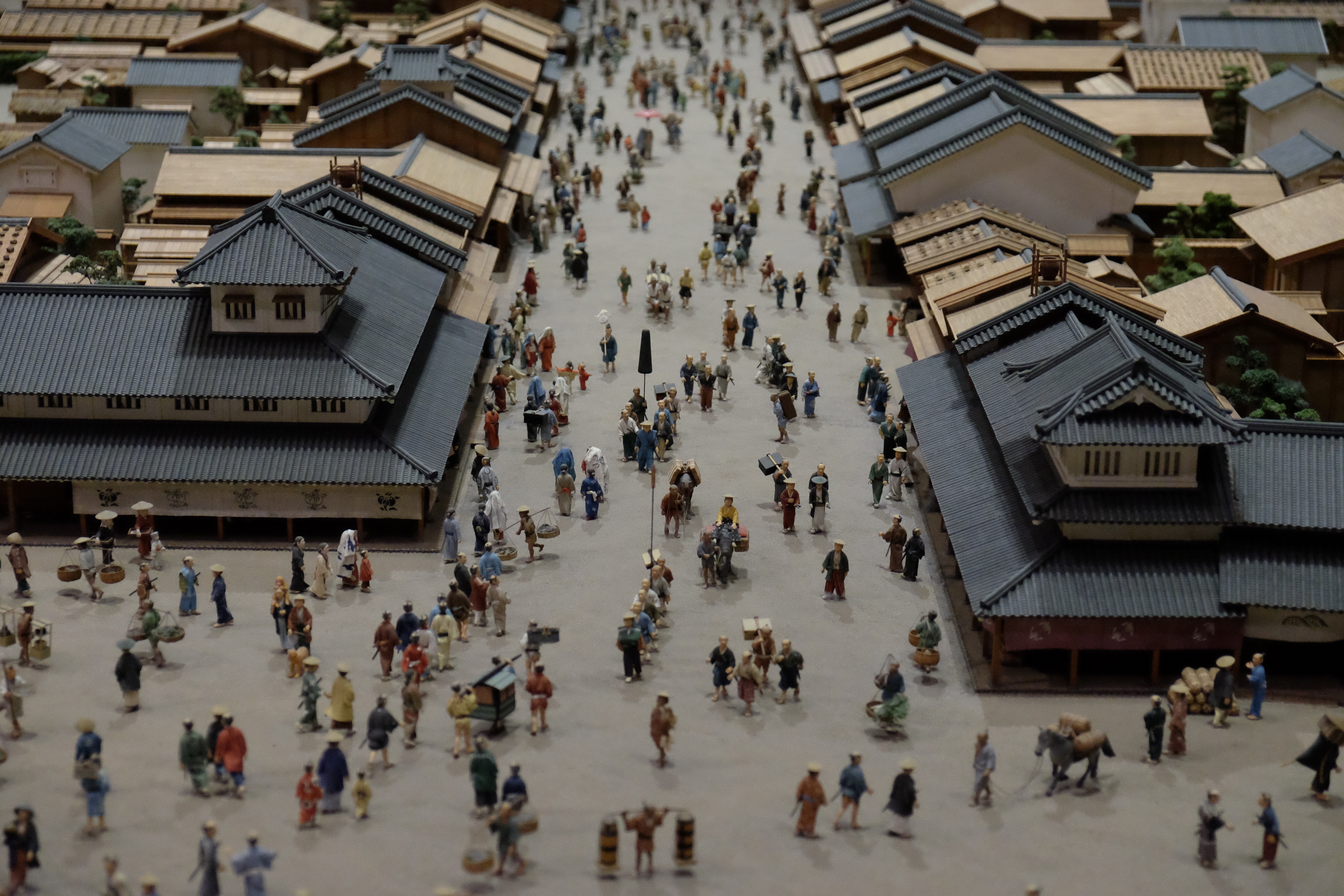 FUJIFILM X-T1+XF18-55  河口湖東京自助七日賞櫻之旅