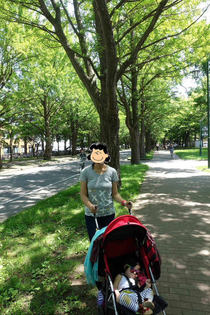 【2016北海道親子行】札幌市區景點。漫步在夏日綠意盎然的北海道大學校園