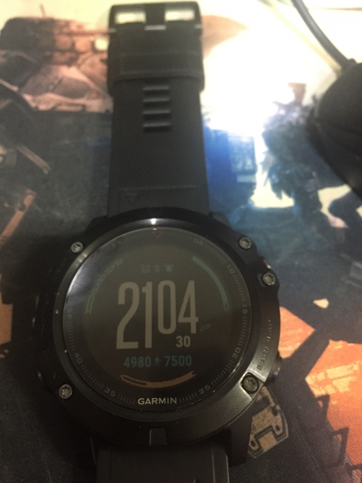 GARMIN FENIX 5X 錶面下載使用異常