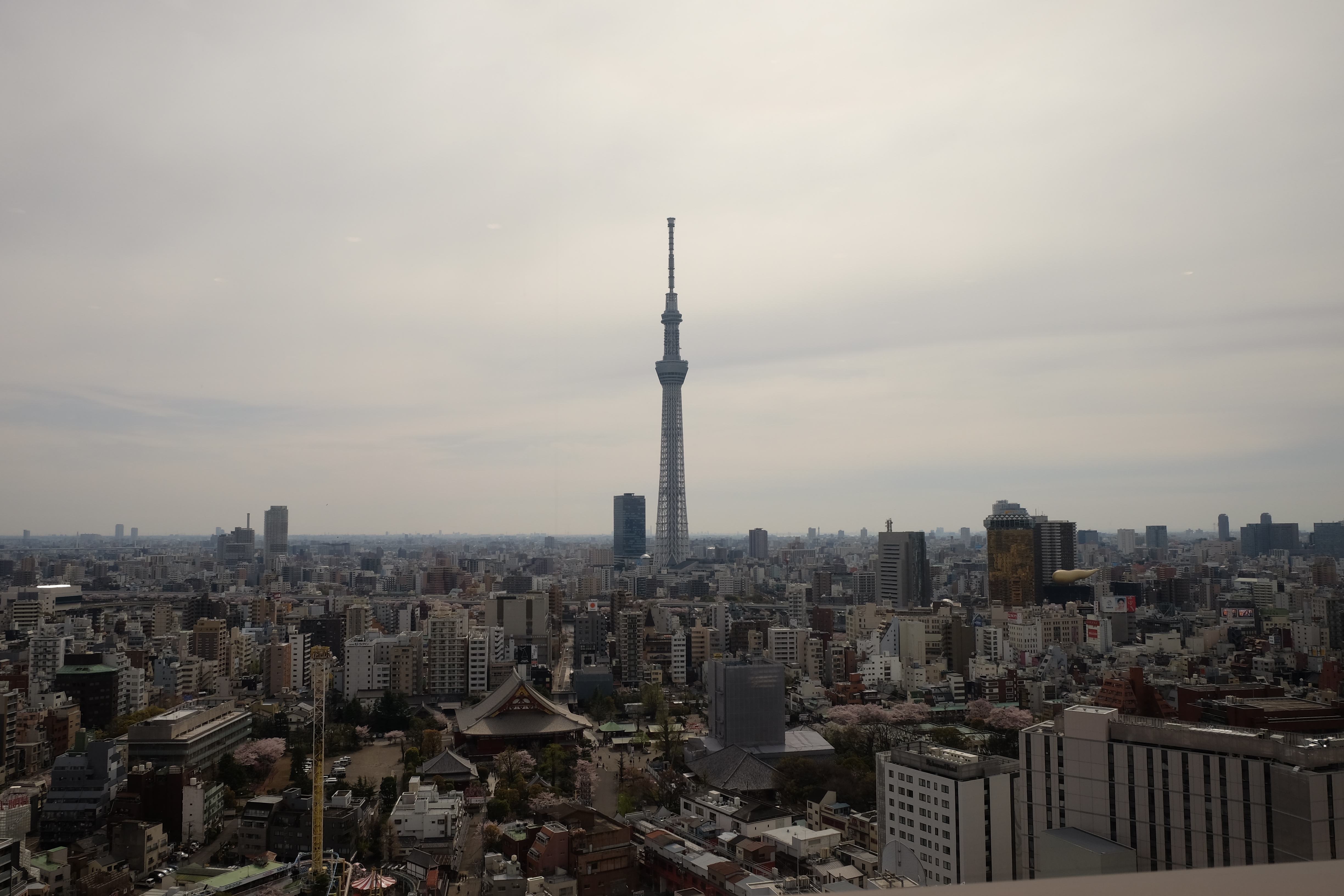 FUJIFILM X-T1+XF18-55  河口湖東京自助七日賞櫻之旅