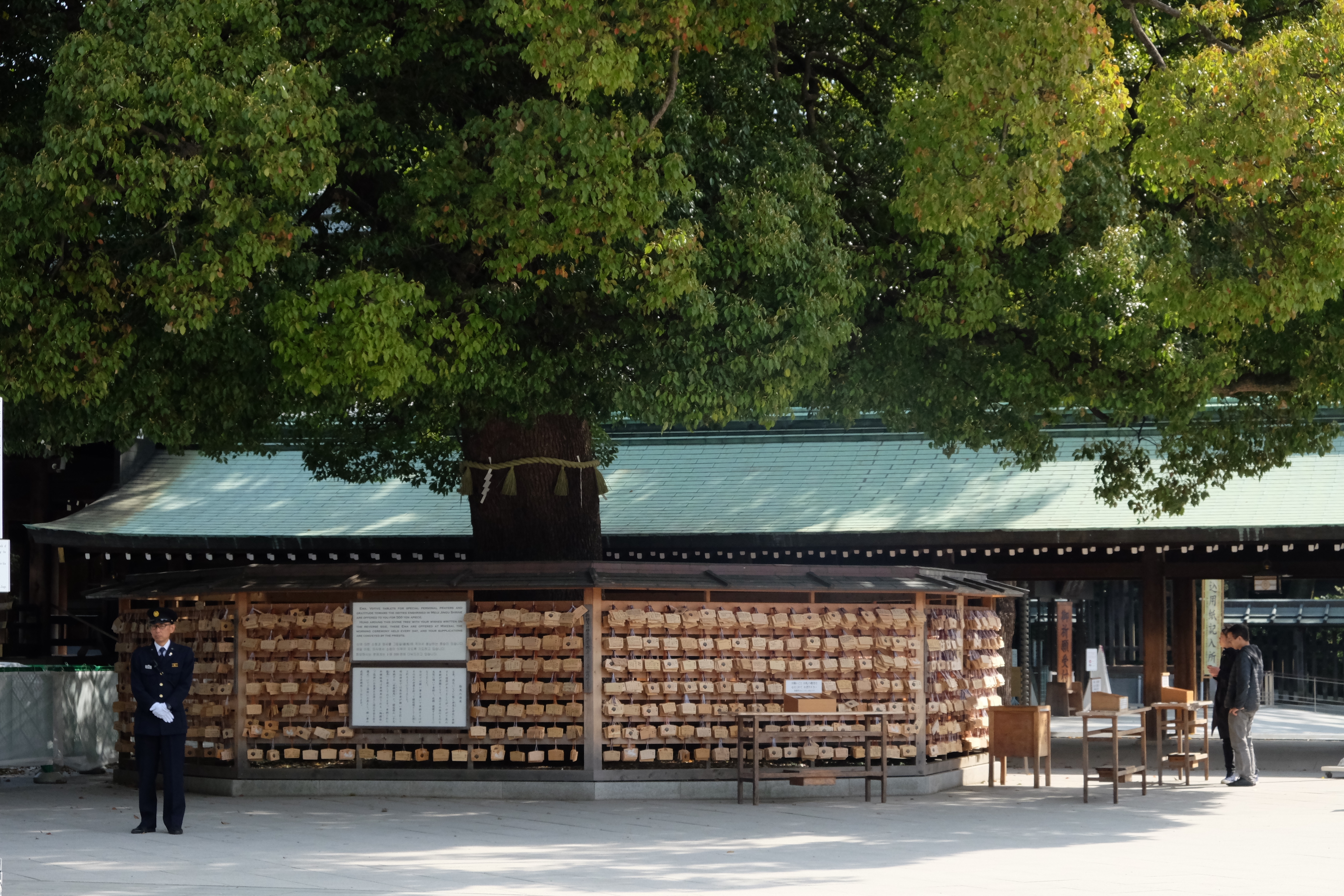FUJIFILM X-T1+XF18-55  河口湖東京自助七日賞櫻之旅