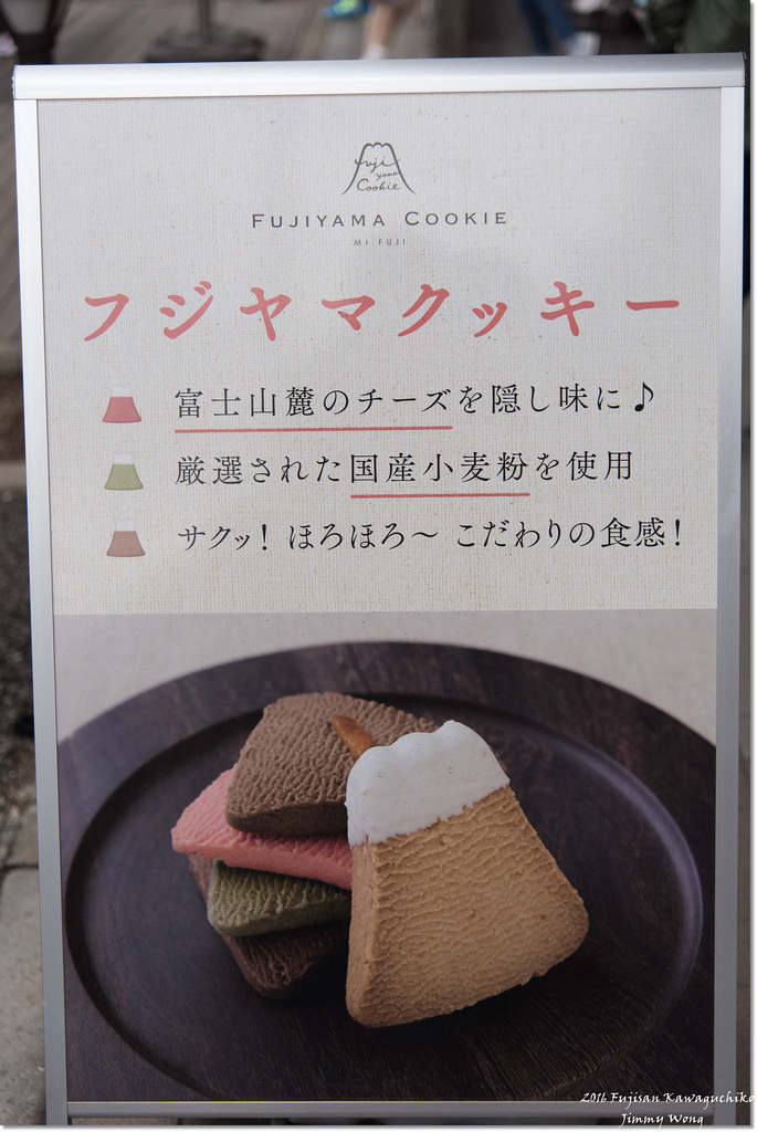 [日本富士山環山之旅]-山梨-天上山公園纜車/河口湖遊覽船(內有優惠套票介紹)