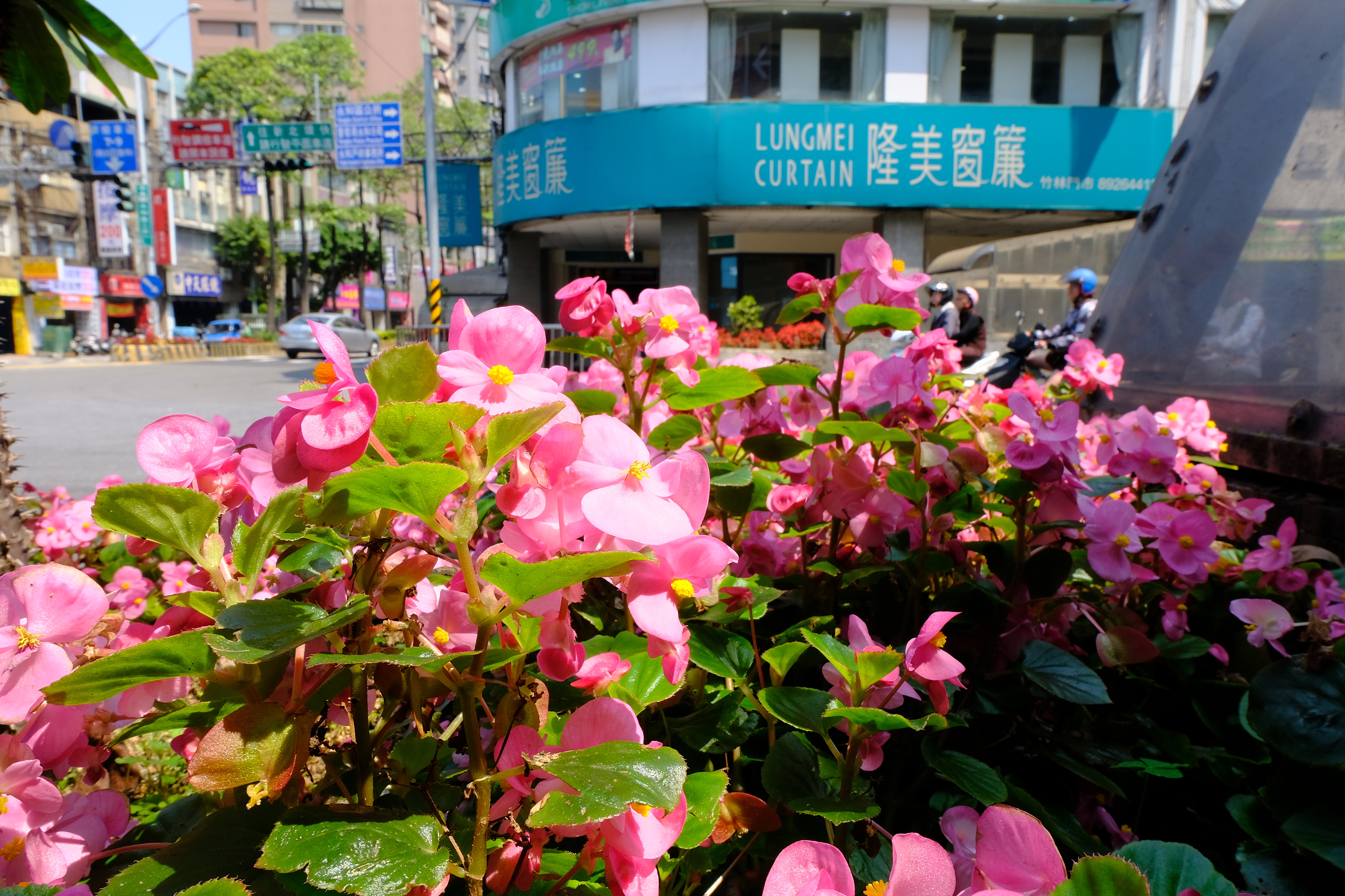 Fujifilm XC 16-50 XC 50-230 超值KIT鏡蓋大樓