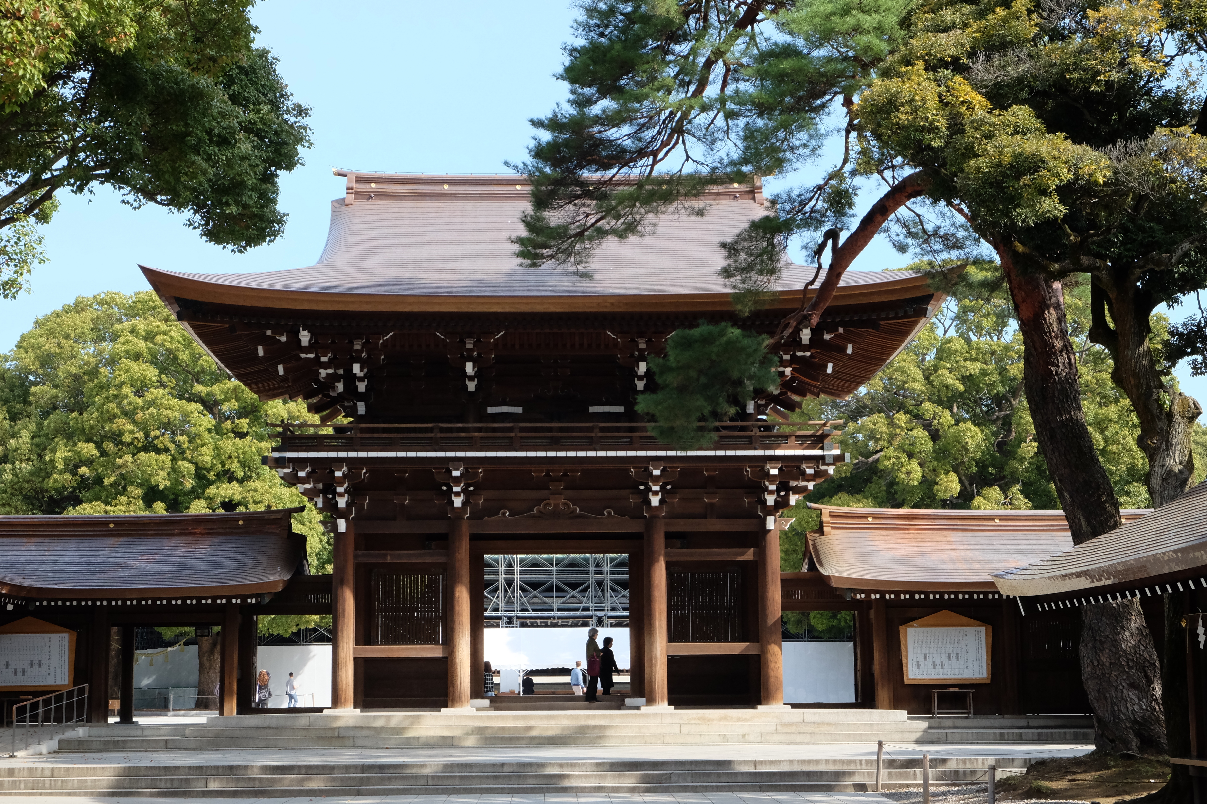 FUJIFILM X-T1+XF18-55  河口湖東京自助七日賞櫻之旅