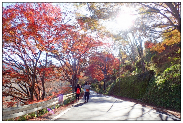 [SKYWAVE TYPE-S]日本関西ー紀伊半島TOURING(DAY-4.5) 和歌山―奈良―東京