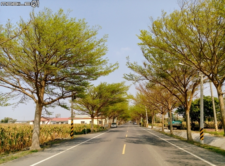 台南市學甲綠色隧道 4月2號