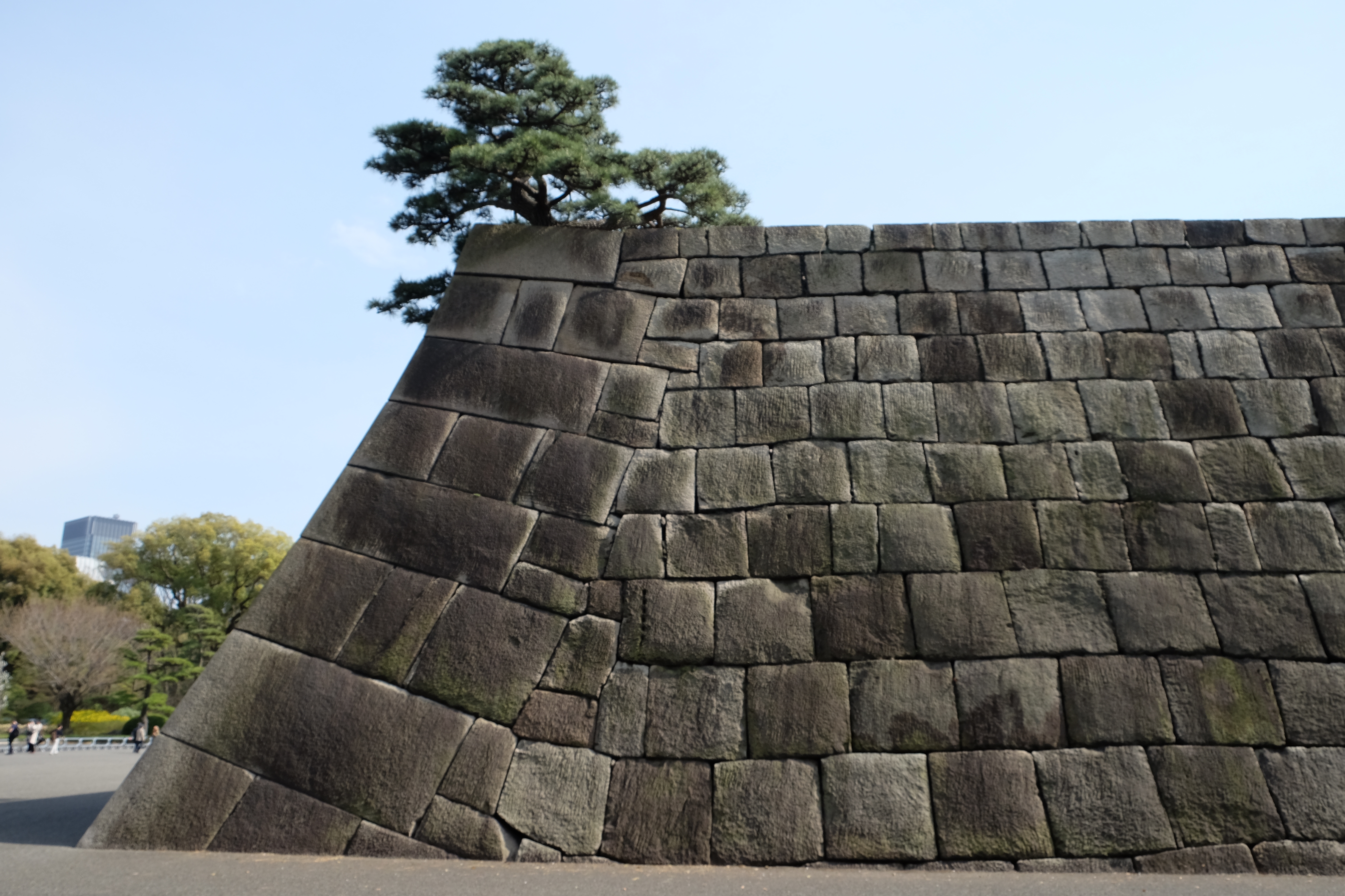 FUJIFILM X-T1+XF18-55  河口湖東京自助七日賞櫻之旅